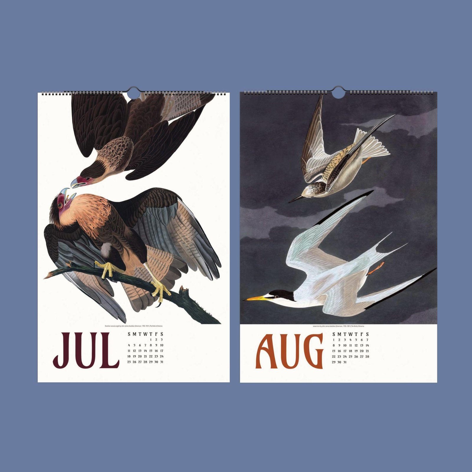 Bird illustrations for July and August calendar pages.