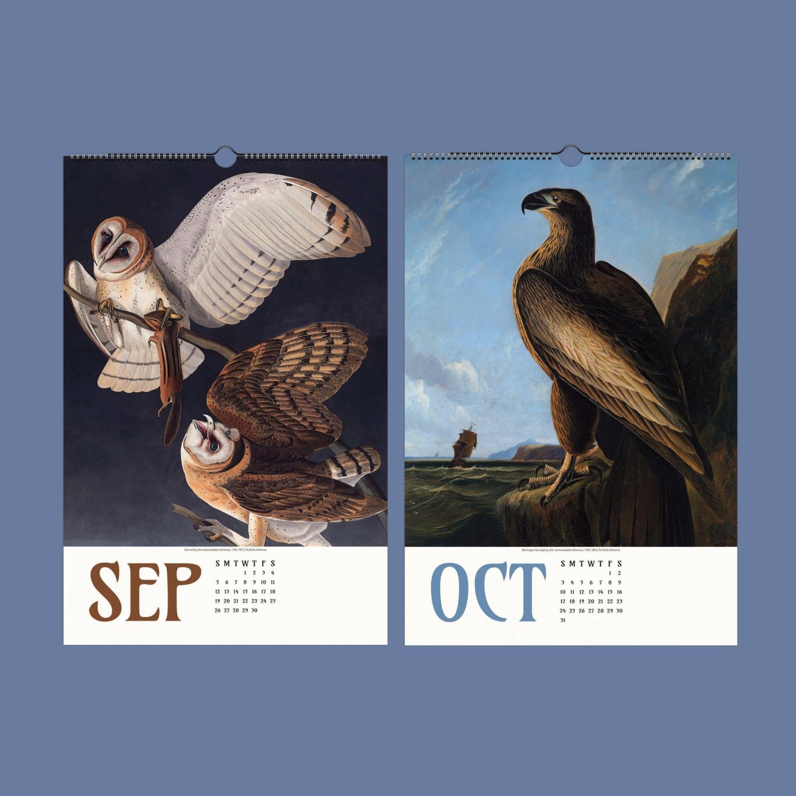 American Flamingo Wall Calendar – John James Audubon - Image 6