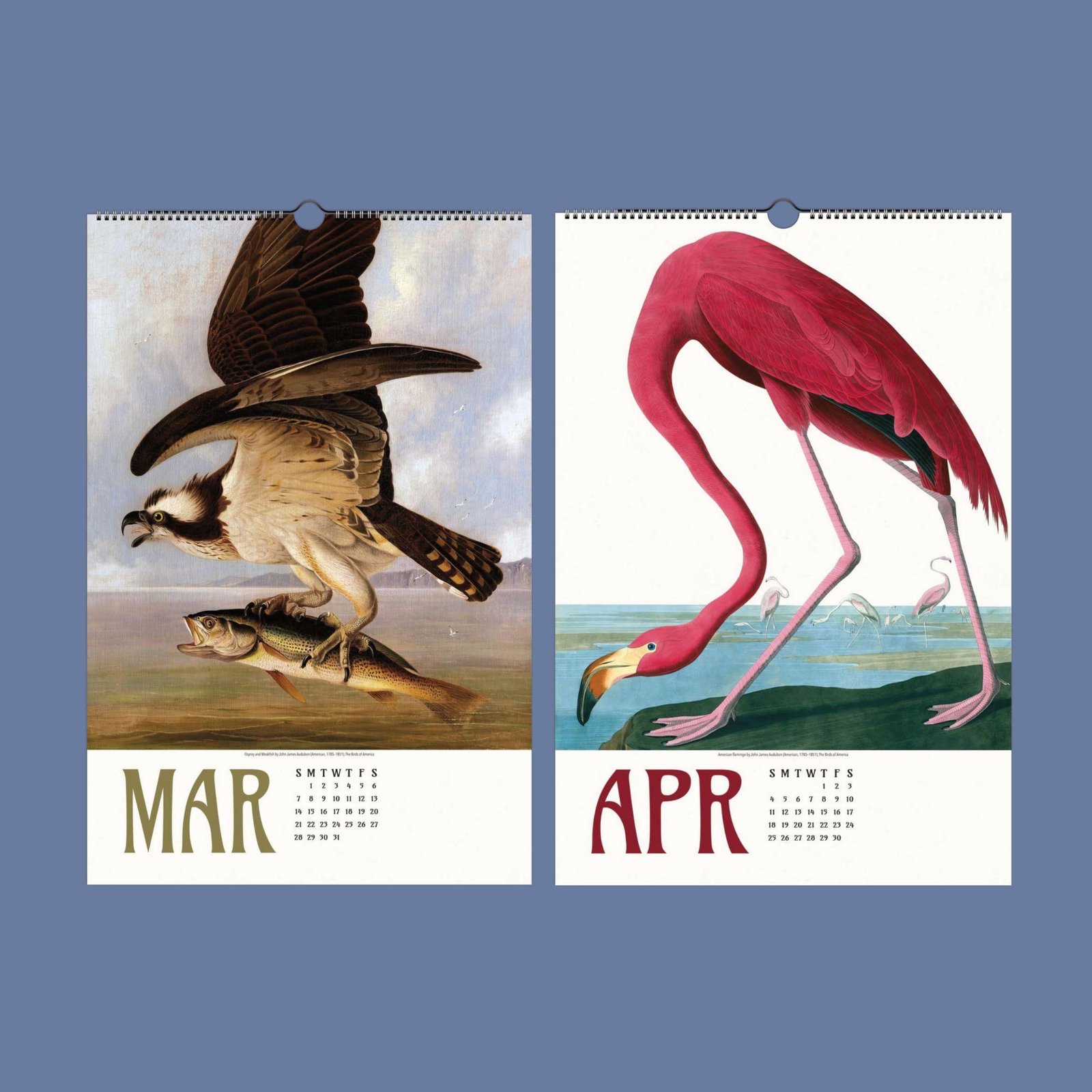 March osprey, April flamingo calendar pages.
