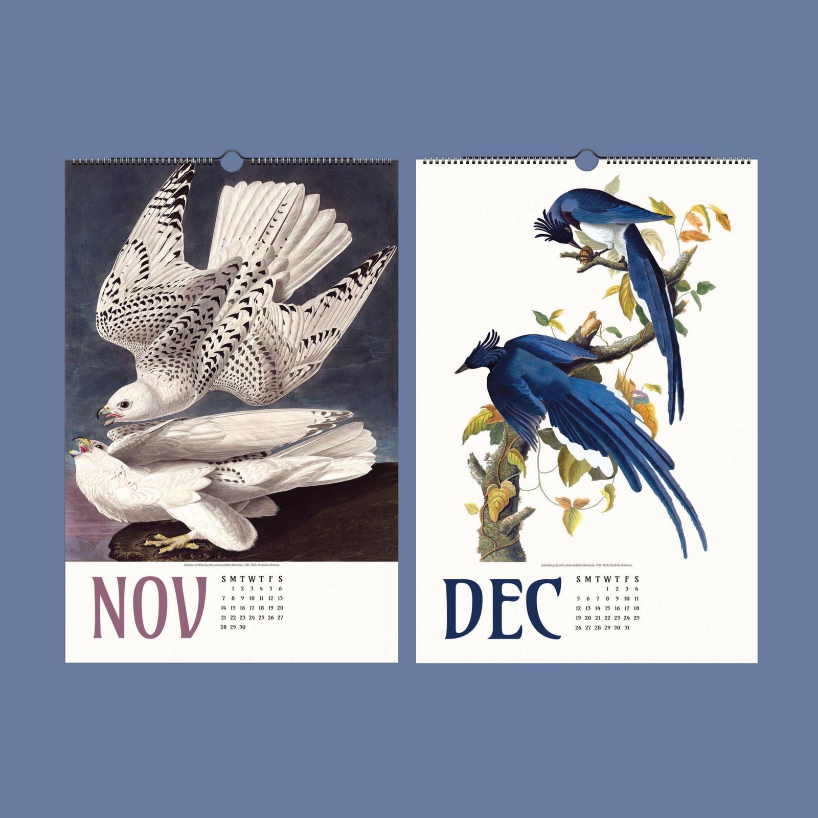 November and December bird illustrations on calendar