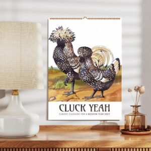2027 chicken calendar and home decor on wooden shelf.
