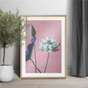 Framed flower artwork on pink background near potted plant.