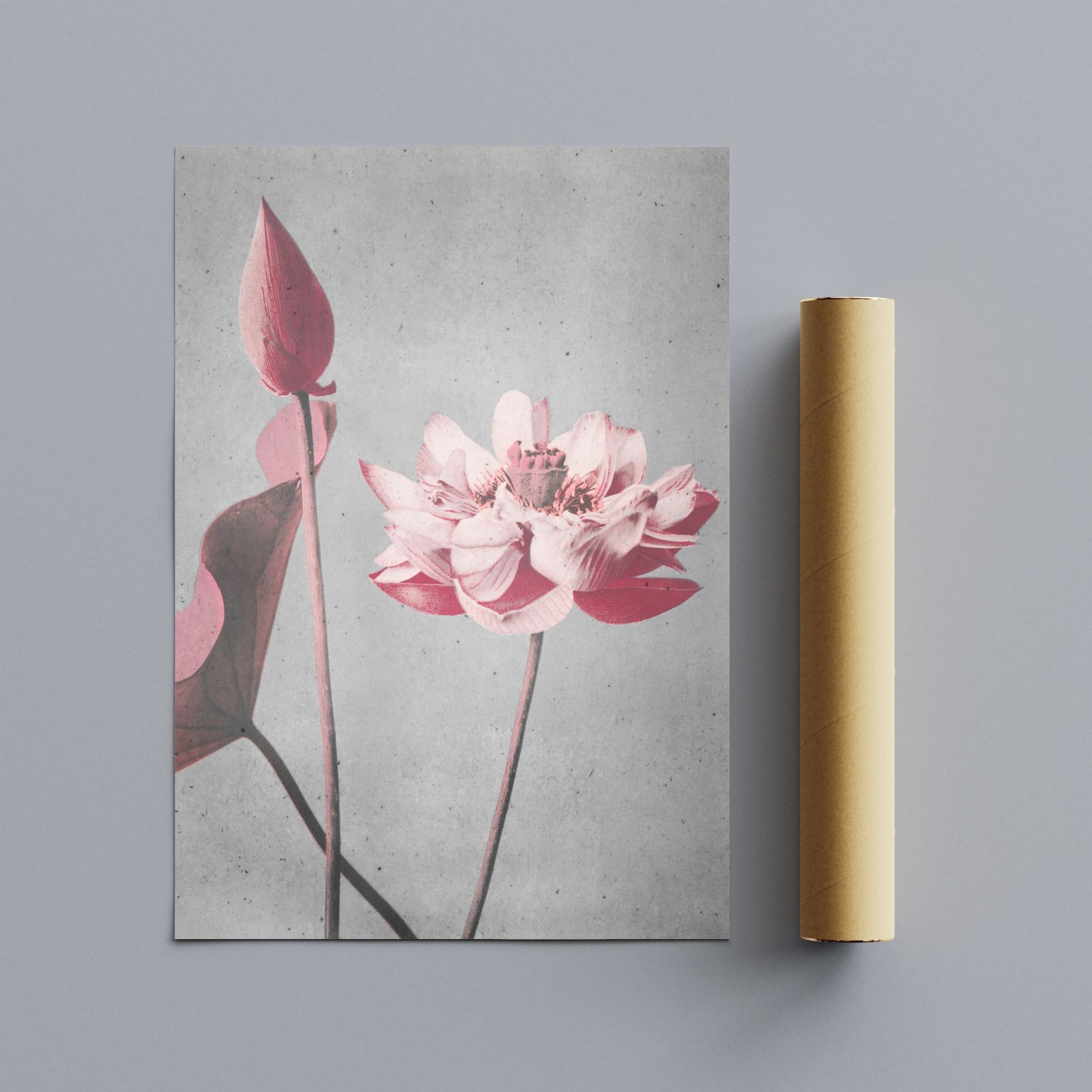 Pink flower poster with bud and leaves.