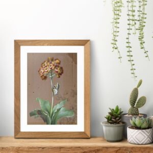 Framed flower painting with potted plants on shelf