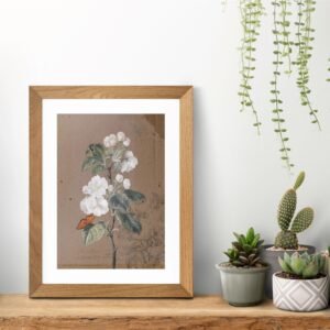 Barbara Regina Dietzsch - Apple Blossom