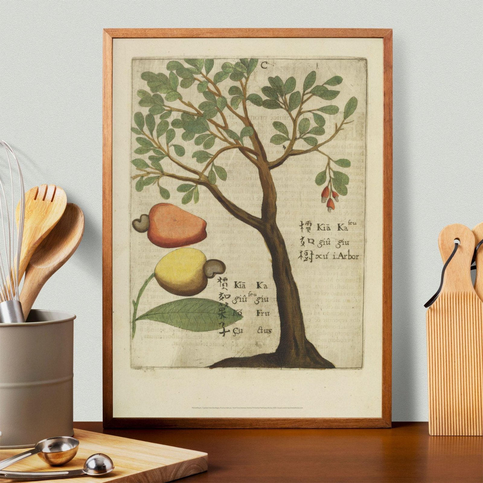 Vintage botanical illustration with fruits.