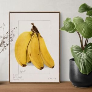 Framed banana art with plants on table.