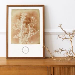 Framed botanical art with dried plant on table.