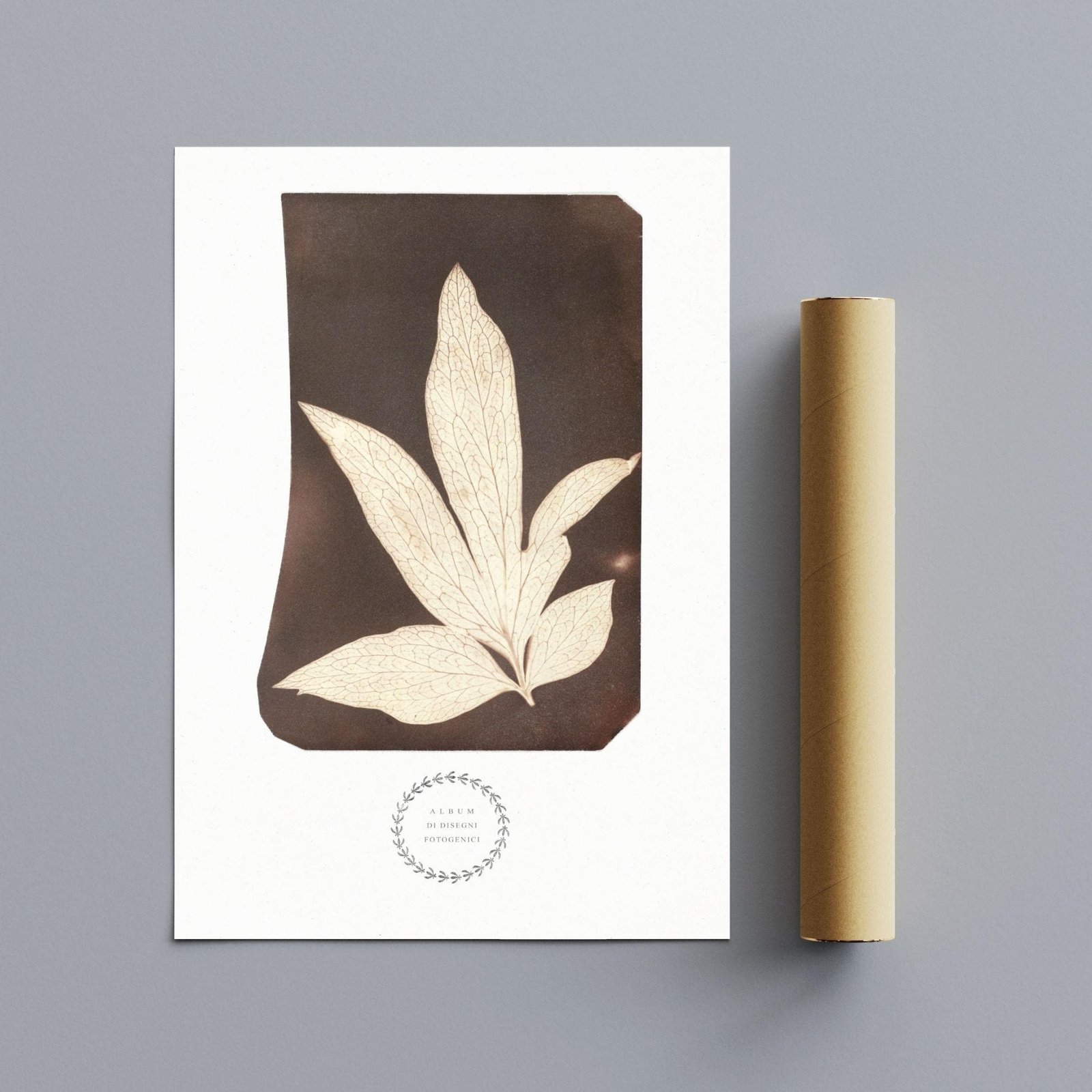 Botanical print of leaf on textured paper.