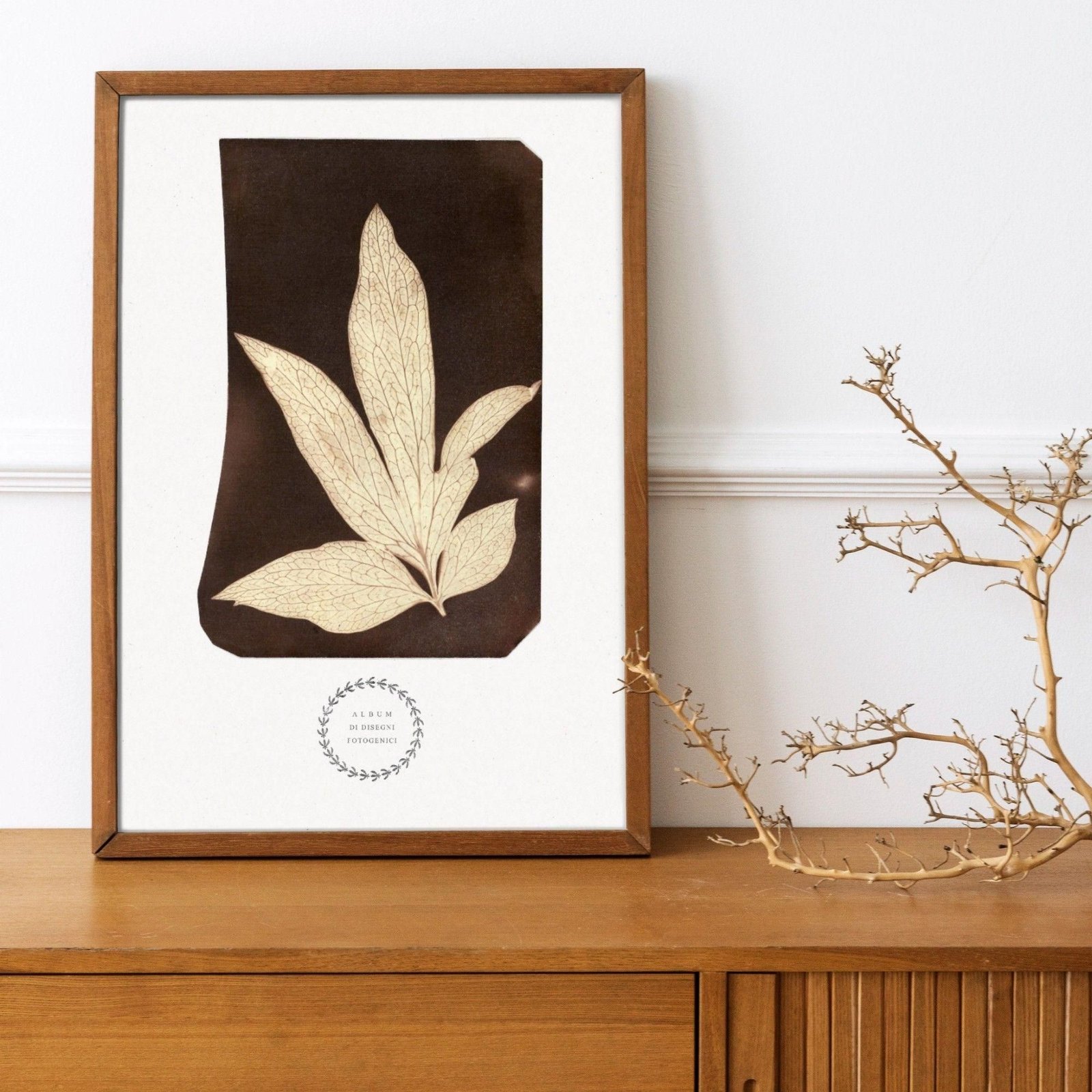 Framed botanical art on wooden cabinet, minimalist decor.