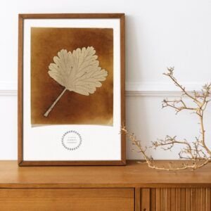 Framed botanical art on wooden cabinet