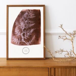 Framed botanical print with branch decor