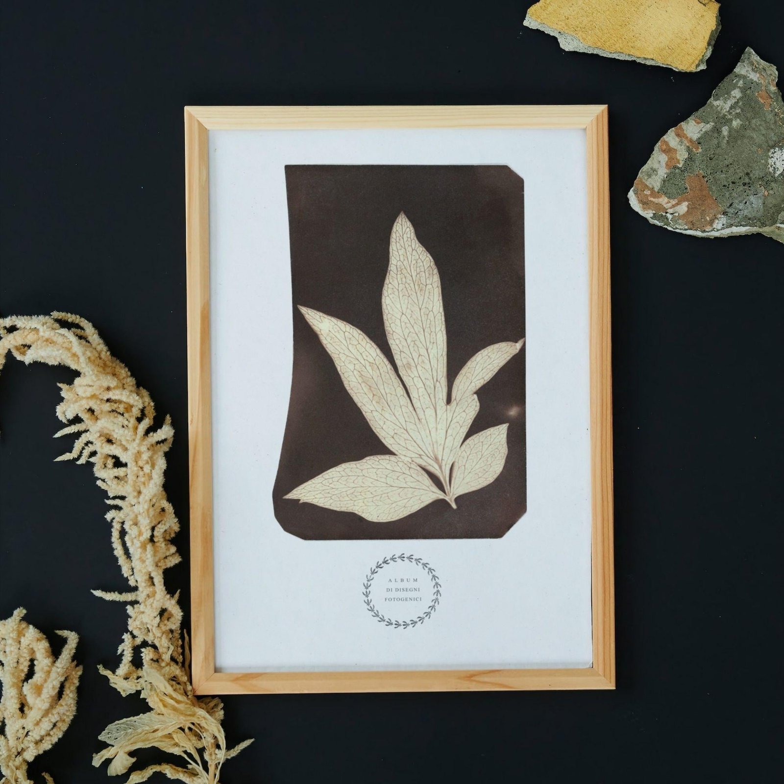 Framed botanical leaf art with natural decor.