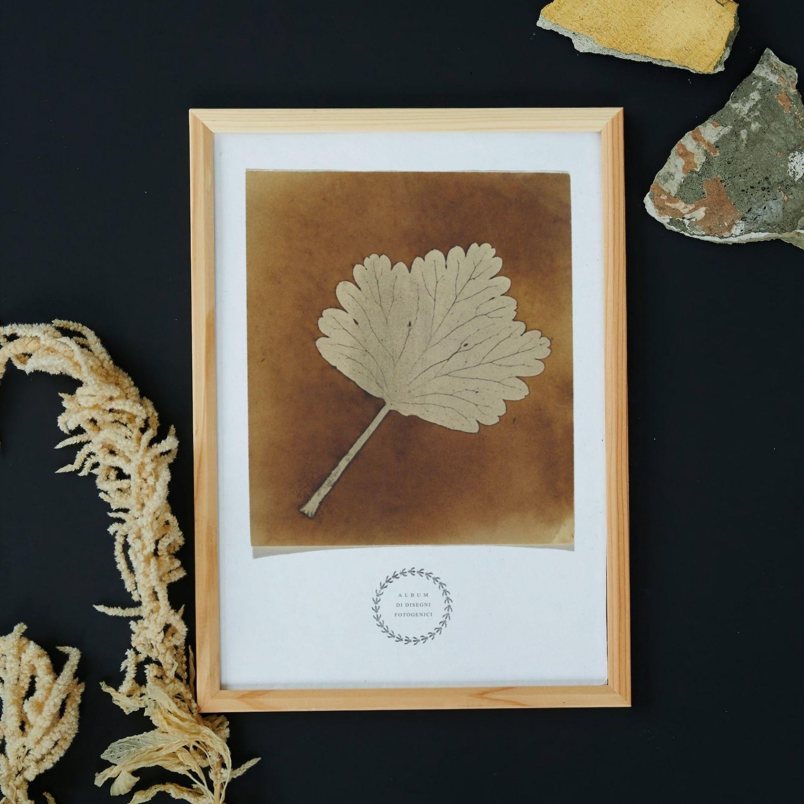 Framed leaf art on dark background