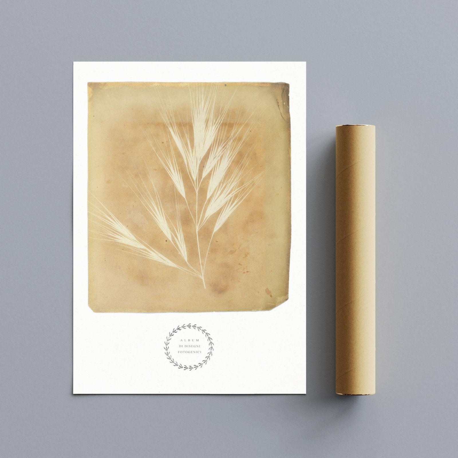 Vintage botanical print with paper roll.