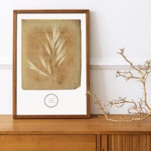 Framed botanical art on wooden cabinet.