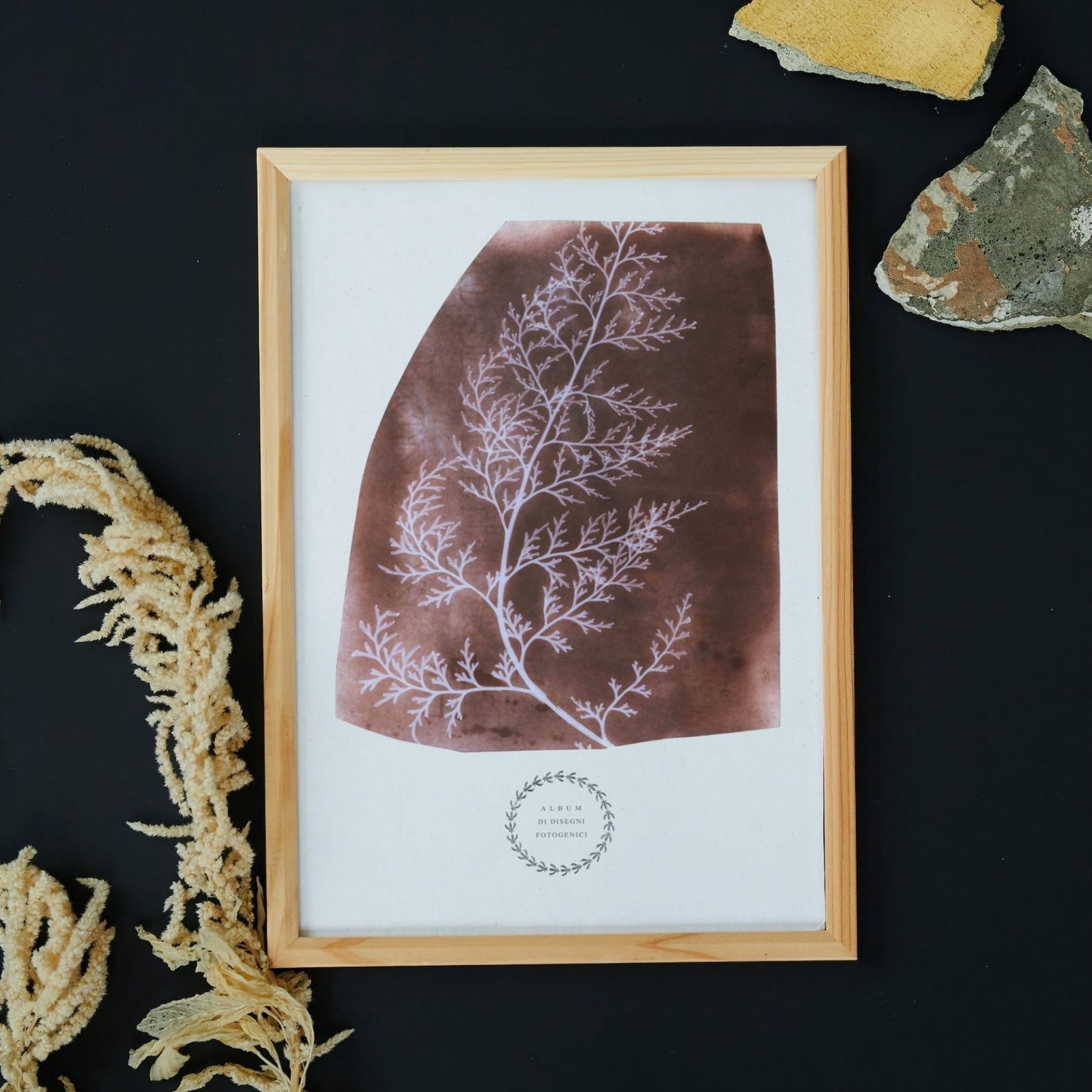 Framed botanical art print with textures and colors.