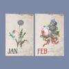 Dietzsch Sisters Botanical Calendar – 18th Century Art, Painted Flowers, Semi-Glossy Paper