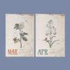 Dietzsch Sisters Botanical Calendar – 18th Century Art, Painted Flowers, Semi-Glossy Paper