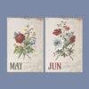 Dietzsch Sisters Botanical Calendar – 18th Century Art, Painted Flowers, Semi-Glossy Paper