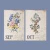 Dietzsch Sisters Botanical Calendar – 18th Century Art, Painted Flowers, Semi-Glossy Paper