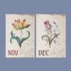 Dietzsch Sisters Botanical Calendar – 18th Century Art, Painted Flowers, Semi-Glossy Paper