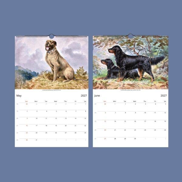 Dogs of America Wall Calendar – Alexander Pope Jr. , Celebrated Canines, Semi-Glossy Paper