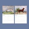 Dogs of America Wall Calendar – Alexander Pope Jr. , Celebrated Canines, Semi-Glossy Paper