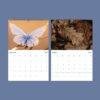Macro Photography Wall Calendar – Nature Photo, Semi-Gloss Paper