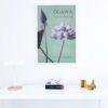 Ogawa Kazumasa, Lotus flowers vintage artwork, remix from original photography