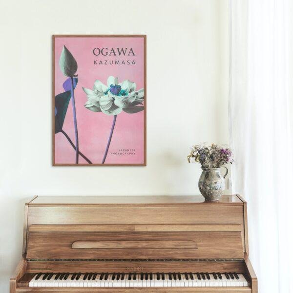 Ogawa Kazumasa, Lotus flowers vintage artwork, remix from original photography