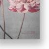 Ogawa Kazumasa, Lotus flowers vintage artwork, remix from original photography