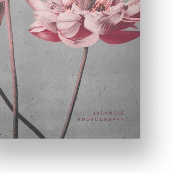 Ogawa Kazumasa, Lotus flowers vintage artwork, remix from original photography