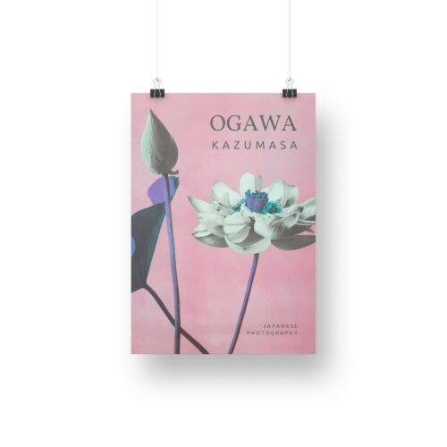 Ogawa Kazumasa, Lotus flowers vintage artwork, remix from original photography