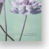 Ogawa Kazumasa, Lotus flowers vintage artwork, remix from original photography