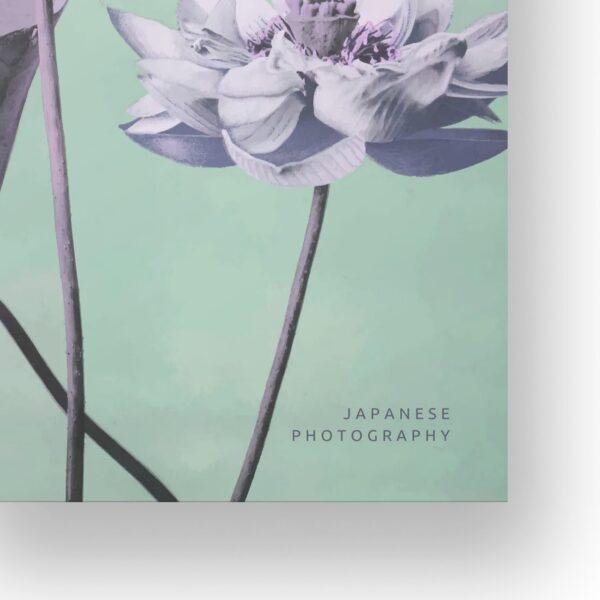 Ogawa Kazumasa, Lotus flowers vintage artwork, remix from original photography