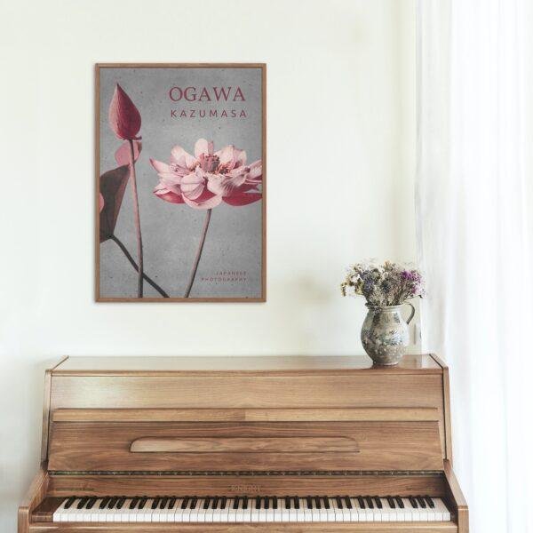 Ogawa Kazumasa, Lotus flowers vintage artwork, remix from original photography