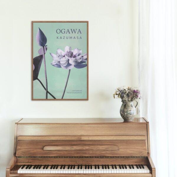 Ogawa Kazumasa, Lotus flowers vintage artwork, remix from original photography
