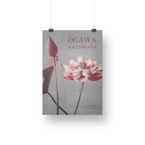 Ogawa Kazumasa, Lotus flowers vintage artwork, remix from original photography