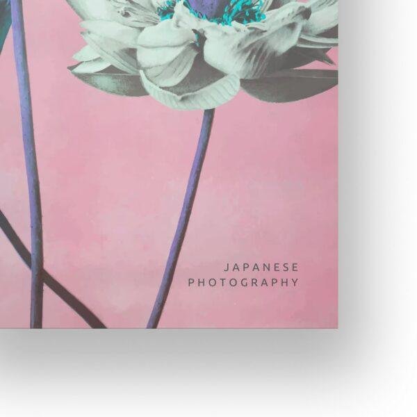 Ogawa Kazumasa, Lotus flowers vintage artwork, remix from original photography
