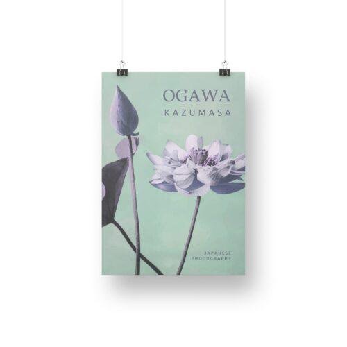 Ogawa Kazumasa, Lotus flowers vintage artwork, remix from original photography
