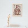 Nervous System
