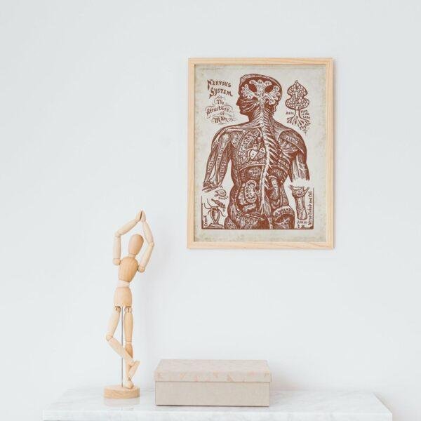 Nervous System
