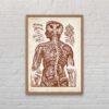 Nervous System