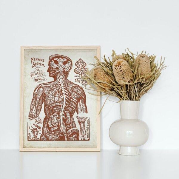 Nervous System