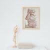 The Face