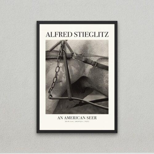 Alfred Stieglitz - Spiritual America, Analog Photography, Matte Paper Poster
