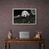 Pawsitively Hilarious - Vintage Photographs