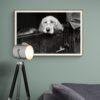 Pawsitively Hilarious - Vintage Photographs