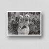 Mini Mutts with Big Stories - Vintage Photographs